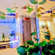 ヒメ日記 2025/02/15 13:45 投稿 優雅オーナー やみつきの館　鶯谷店