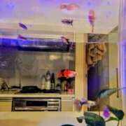 ヒメ日記 2025/02/19 20:48 投稿 優雅オーナー やみつきの館　鶯谷店