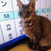 ヒメ日記 2025/02/22 10:35 投稿 優雅オーナー やみつきの館　鶯谷店