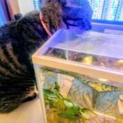 ヒメ日記 2025/02/23 09:49 投稿 優雅オーナー やみつきの館　鶯谷店