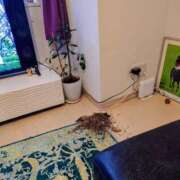 ヒメ日記 2025/02/27 09:48 投稿 優雅オーナー やみつきの館　鶯谷店