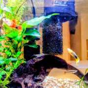 ヒメ日記 2025/02/27 14:39 投稿 優雅オーナー やみつきの館　鶯谷店