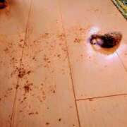 ヒメ日記 2025/03/06 09:02 投稿 優雅オーナー やみつきの館　鶯谷店