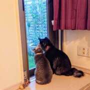 ヒメ日記 2025/03/08 19:16 投稿 優雅オーナー やみつきの館　鶯谷店