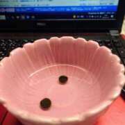 ヒメ日記 2025/03/14 15:06 投稿 優雅オーナー やみつきの館　鶯谷店