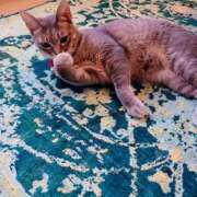 ヒメ日記 2025/04/01 10:42 投稿 優雅オーナー やみつきの館　鶯谷店