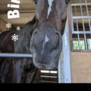 ヒメ日記 2025/04/24 15:14 投稿 優雅オーナー やみつきの館　鶯谷店