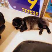 ヒメ日記 2025/04/30 09:47 投稿 優雅オーナー やみつきの館　鶯谷店