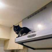 ヒメ日記 2025/05/07 10:22 投稿 優雅オーナー やみつきの館　鶯谷店