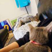 ヒメ日記 2025/05/18 16:04 投稿 優雅オーナー やみつきの館　鶯谷店