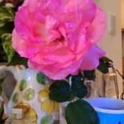 ヒメ日記 2025/08/23 12:03 投稿 優雅オーナー やみつきの館　鶯谷店