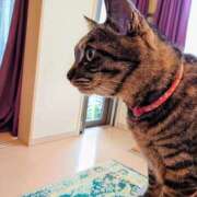 ヒメ日記 2025/08/28 12:41 投稿 優雅オーナー やみつきの館　鶯谷店