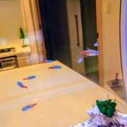 ヒメ日記 2025/08/31 15:42 投稿 優雅オーナー やみつきの館　鶯谷店