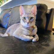 ヒメ日記 2025/09/19 07:32 投稿 優雅オーナー やみつきの館　鶯谷店