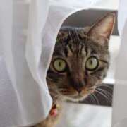 ヒメ日記 2025/09/20 10:38 投稿 優雅オーナー やみつきの館　鶯谷店