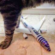 ヒメ日記 2025/09/21 09:09 投稿 優雅オーナー やみつきの館　鶯谷店