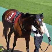 ヒメ日記 2025/09/26 10:03 投稿 優雅オーナー やみつきの館　鶯谷店