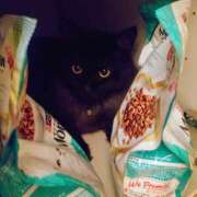 ヒメ日記 2025/09/29 08:44 投稿 優雅オーナー やみつきの館　鶯谷店