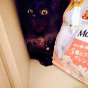 ヒメ日記 2025/10/01 19:55 投稿 優雅オーナー やみつきの館　鶯谷店