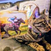 ヒメ日記 2025/10/05 09:01 投稿 優雅オーナー やみつきの館　鶯谷店