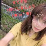 ヒメ日記 2025/09/09 09:38 投稿 ゆずき 小田原人妻城