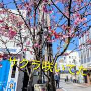 ヒメ日記 2026/03/09 14:00 投稿 ゆずき 小田原人妻城