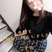 ヒメ日記 2026/04/02 11:47 投稿 ゆずき 小田原人妻城