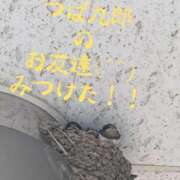 ヒメ日記 2026/06/21 16:31 投稿 ゆずき 小田原人妻城