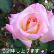 ヒメ日記 2026/01/11 11:26 投稿 今野 MCロイヤル