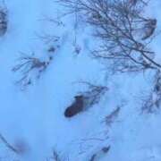 ヒメ日記 2026/01/09 20:04 投稿 ゆり ラブライフ大宮岩槻店