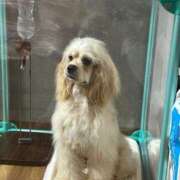 ヒメ日記 2025/02/26 18:24 投稿 ゆん ラブライフ大宮岩槻店