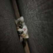 ヒメ日記 2025/04/10 20:24 投稿 ゆん ラブライフ大宮岩槻店