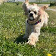 ヒメ日記 2025/04/16 18:47 投稿 ゆん ラブライフ大宮岩槻店