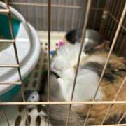 ヒメ日記 2025/05/18 18:24 投稿 ゆん ラブライフ大宮岩槻店