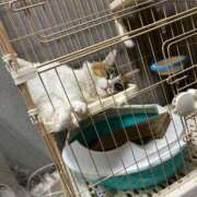 ヒメ日記 2025/07/02 18:29 投稿 ゆん ラブライフ大宮岩槻店