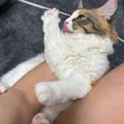 ヒメ日記 2025/07/22 22:44 投稿 ゆん ラブライフ大宮岩槻店