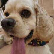 ヒメ日記 2025/09/22 14:14 投稿 ゆん ラブライフ大宮岩槻店