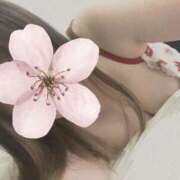 ヒメ日記 2025/11/15 20:07 投稿 このか ぽっちゃり素人専門店 愛されぽっちゃり倶楽部 古川店