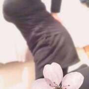 ヒメ日記 2025/11/16 14:47 投稿 このか ぽっちゃり素人専門店 愛されぽっちゃり倶楽部 古川店