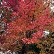 ヒメ日記 2025/11/15 20:04 投稿 ゆり ラブライフ越谷