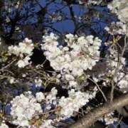 ヒメ日記 2026/04/03 22:15 投稿 ゆり ラブライフ越谷