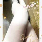 ヒメ日記 2025/02/27 08:26 投稿 れんか 奥様の実話 梅田店