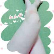 ヒメ日記 2025/04/24 08:43 投稿 れんか 奥様の実話 梅田店