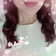 ヒメ日記 2026/04/11 08:38 投稿 れんか 奥様の実話 梅田店