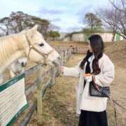 ヒメ日記 2026/01/14 18:03 投稿 莉々奈/Ririna ジュリエット
