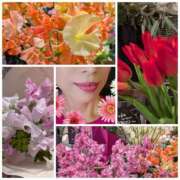 ヒメ日記 2025/02/05 02:38 投稿 ハスミ 東京★出張マッサージ委員会Z