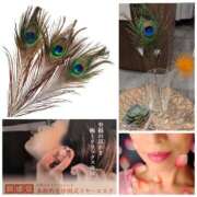 ヒメ日記 2025/03/11 19:32 投稿 ハスミ 東京★出張マッサージ委員会Z