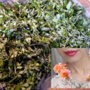 ヒメ日記 2025/04/29 20:51 投稿 ハスミ 東京★出張マッサージ委員会Z