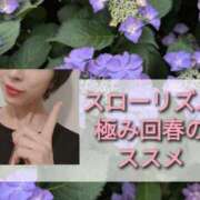 ヒメ日記 2025/05/27 13:01 投稿 ハスミ 東京★出張マッサージ委員会Z