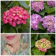 ヒメ日記 2025/06/07 18:53 投稿 ハスミ 東京★出張マッサージ委員会Z